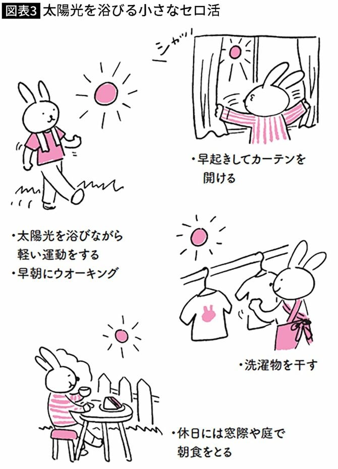 【図表】太陽光を浴びる小さなセロ活