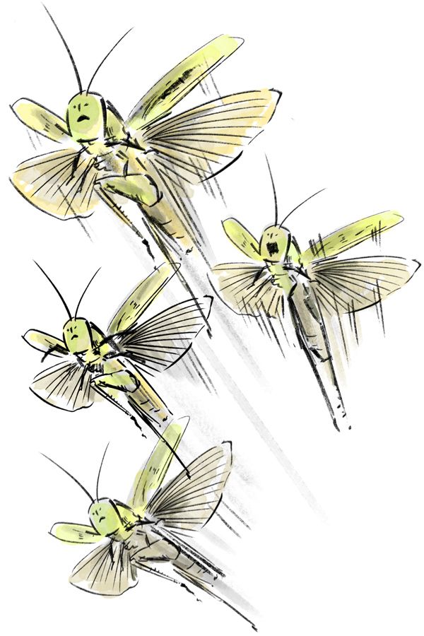 イラスト＝じゅえき太郎