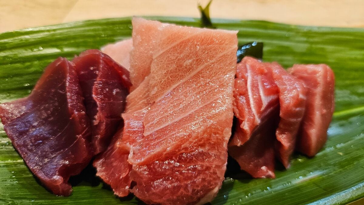 本マグロより安くておいしいのに一般人は知らない…魚のプロが絶賛する｢隠れた極上マグロ｣の名前 知名度の低さが原因で漁の維持が難しくなっている ...