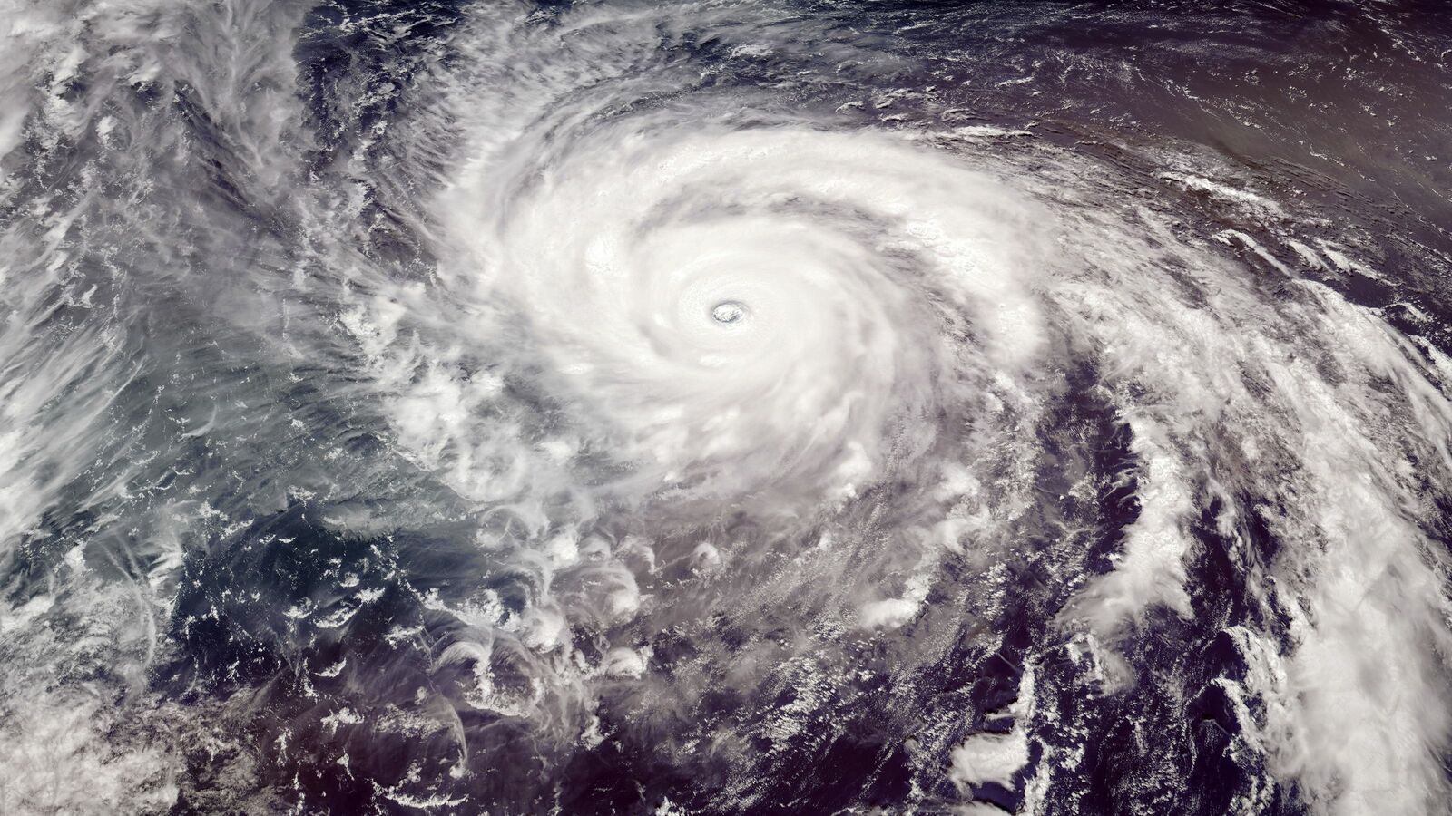 今年は｢トカゲ台風｣がやってくる…台風に｢○号｣という数字だけでなく愛称があるワケ かつては｢女性の名前｣がつけられていたのだが…