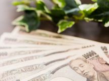 ボーナスを預けるなら、「個人向け国債」で安全・確実に