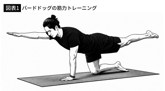 【図表1】バードドッグの筋力トレーニング