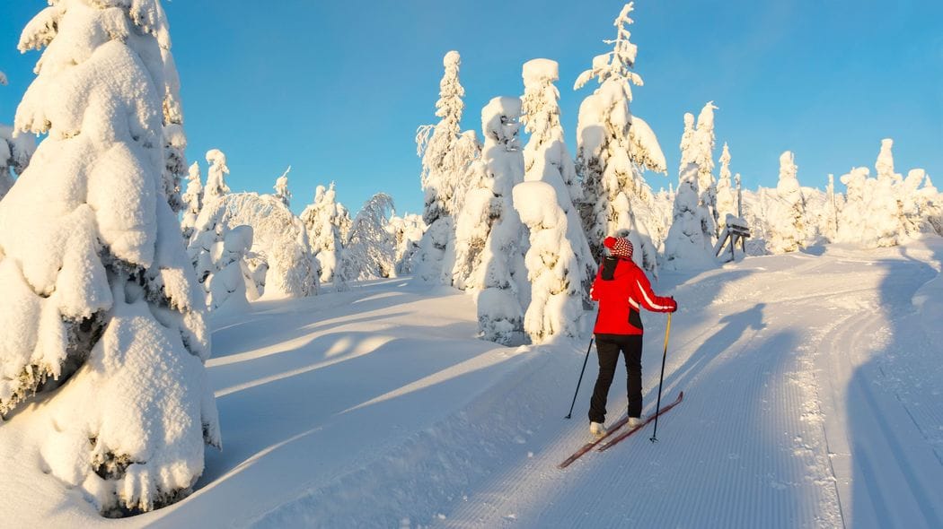 ｢働きすぎを避けて幸せになる…｣フィンランド流｢5つの習慣｣とワークライフバランス 社員はたっぷり休養し､新鮮なアイデアと視点を職場に持ち帰る