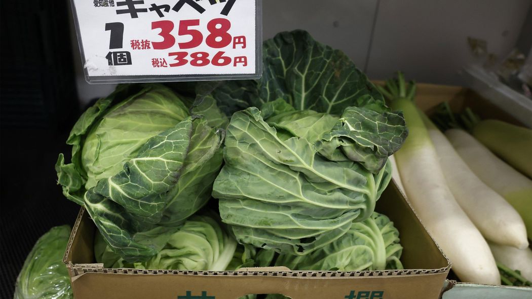 ｢キャベツ1玉500円｣は序章にすぎない…｢いままでが安すぎた｣国産野菜が"高級品化"している不都合な真実 ｢残念ながら野菜価格は上がり続けます｣