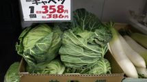 ｢キャベツ1玉500円｣は序章にすぎない…｢いままでが安すぎた｣国産野菜が"高級品化"している不都合な真実