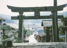 田舎に移住する若者は、冒険志向