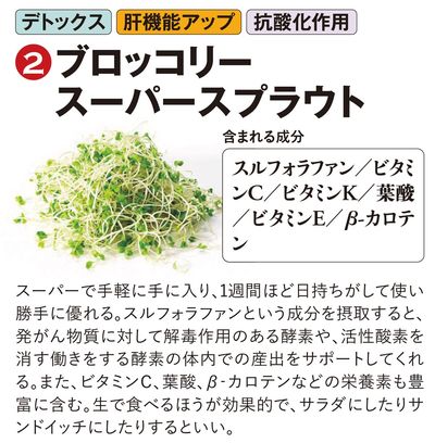 【図表】ブロッコリースーパースプラウト