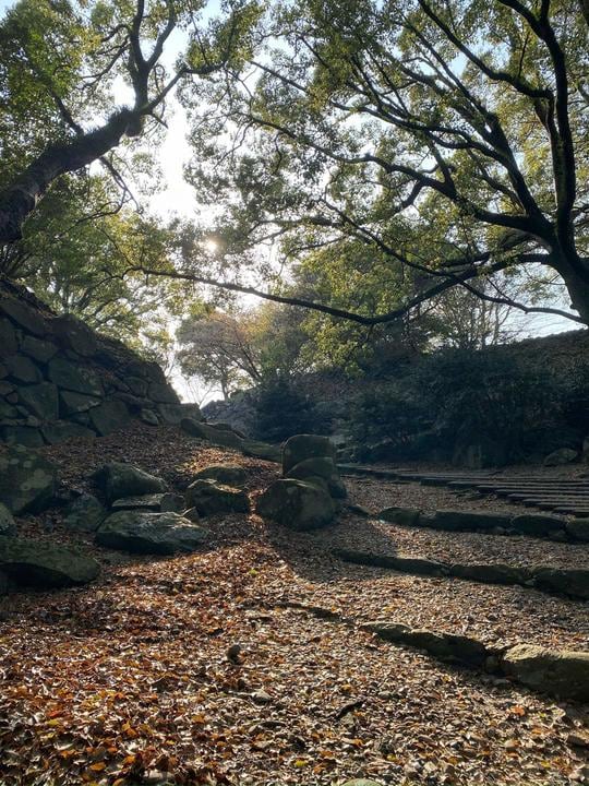 現在の名護屋城の姿。わずかに残された石垣が辛うじて往時を偲ばせる。