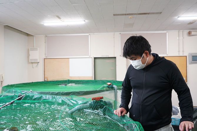 フグを見守る下西さん。