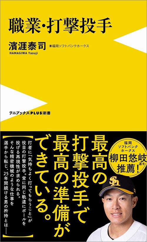 濱涯泰司『職業・打撃投手』（ワニブックス【PLUS】新書）