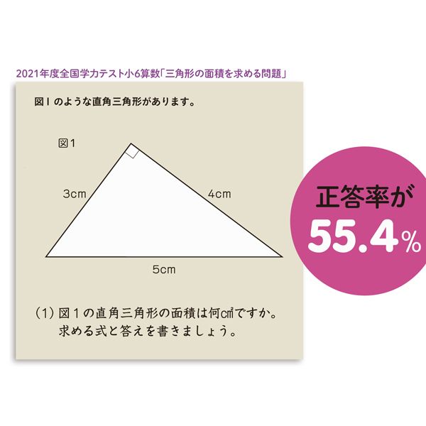 正解率は55 教育界に激震 小6が直角三角形の面積を求める問題に大苦戦する理由 図形オンチが1日で解消するドリル President Online プレジデントオンライン