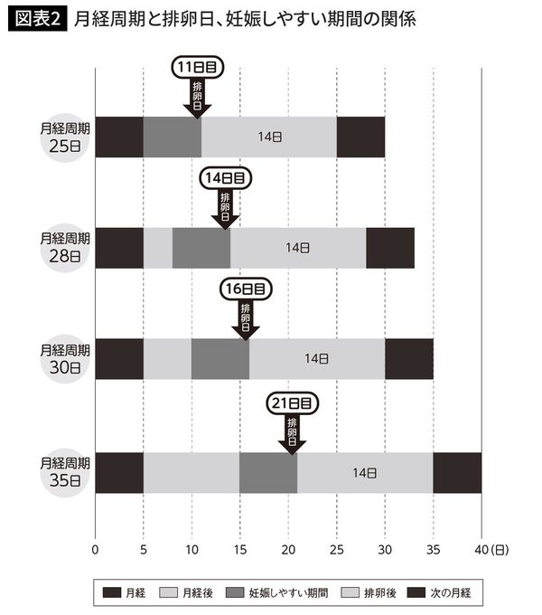 月経周期と排卵日、妊娠しやすい期間の関係