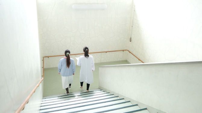 階段を下りる女性医師と看護師の後ろ姿