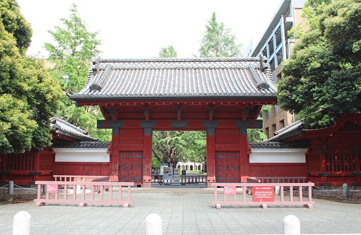 ※写真はイメージです