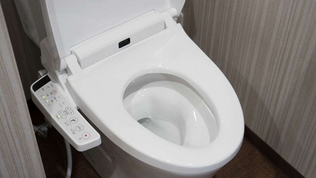 そりゃ｢トイレで尻を洗いたくなる｣ワケだ…"便の性質が違う"日本をウォシュレット超大国にした3つの要因