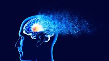 記憶力､判断力､集中力が大復活!　最新脳科学が解明｢脳が若返る5つの原則｣