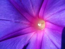 距離を縮めるか、遠ざけるか？ 対人ストレス解消法