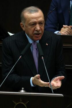 2021年11月17日、トルコのエルドアン大統領（トルコ・アンカラ）