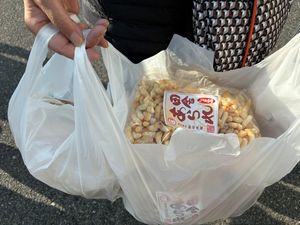 「田舎あられが大好きで、いつもは三重県の友人に送ってもらっている」と話す、八王子から来た帰省客
