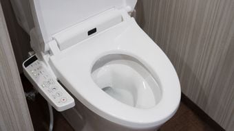 そりゃ｢トイレで尻を洗いたくなる｣ワケだ…"便の性質が違う"日本をウォシュレット超大国にした3つの要因