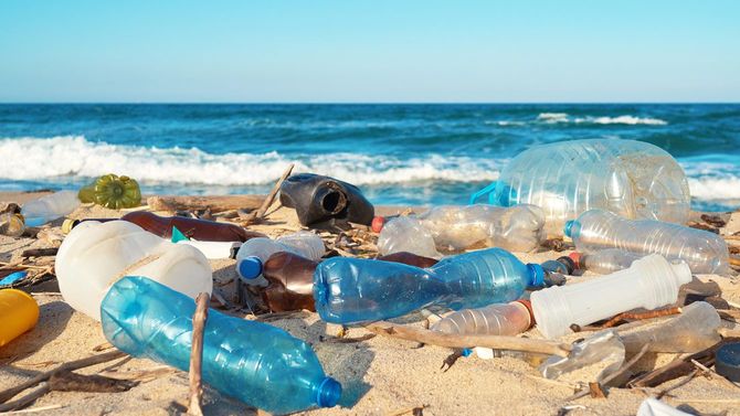 海辺に打ち寄せられたプラスチック廃棄物