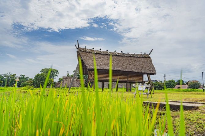 静岡県の登呂遺跡