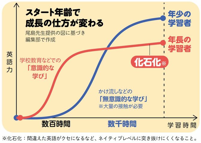 スタート年齢で成長の仕方が変わる