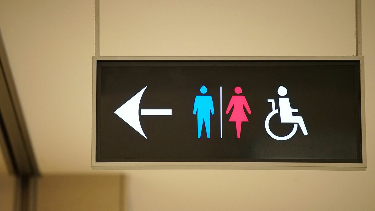 行列のできるトイレ盗撮 犯罪が後を絶たないのは､日本のトイレが構造上世界一危険だから ｢入りにくく見えやすい場所｣に変えていく努力が必要 | PRESIDENT  Online（プレジデントオンライン）