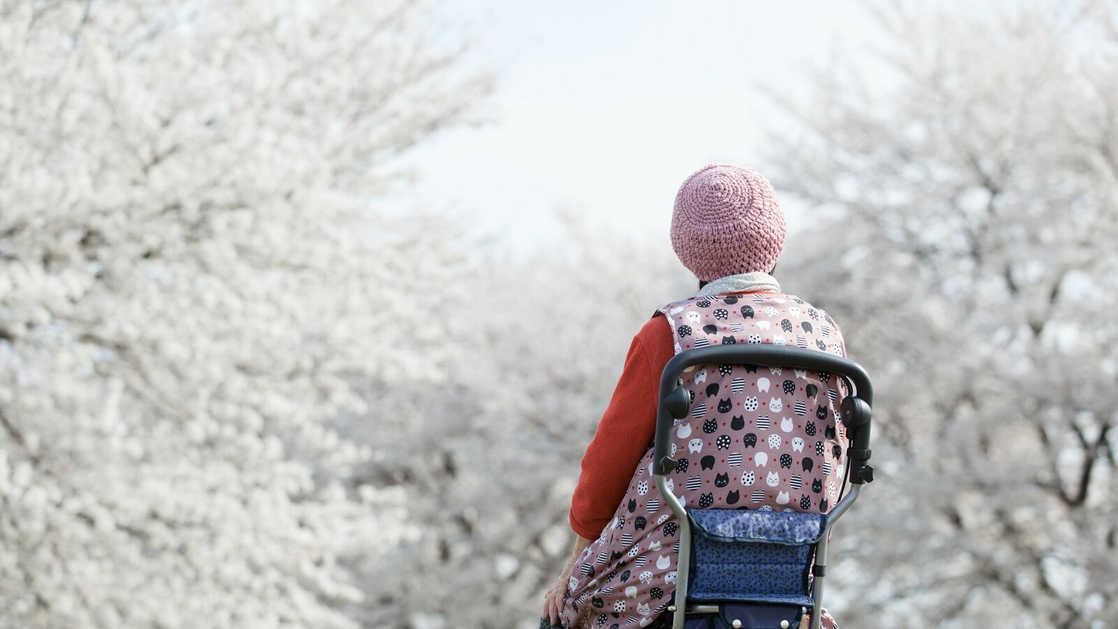 ｢高齢者の一人暮らし｣は認知症予防の最高の方法…高齢者専門医･和田秀樹が説く｢健康常識｣という大ウソ 認知症になった人は生きるための防御反応が高まる