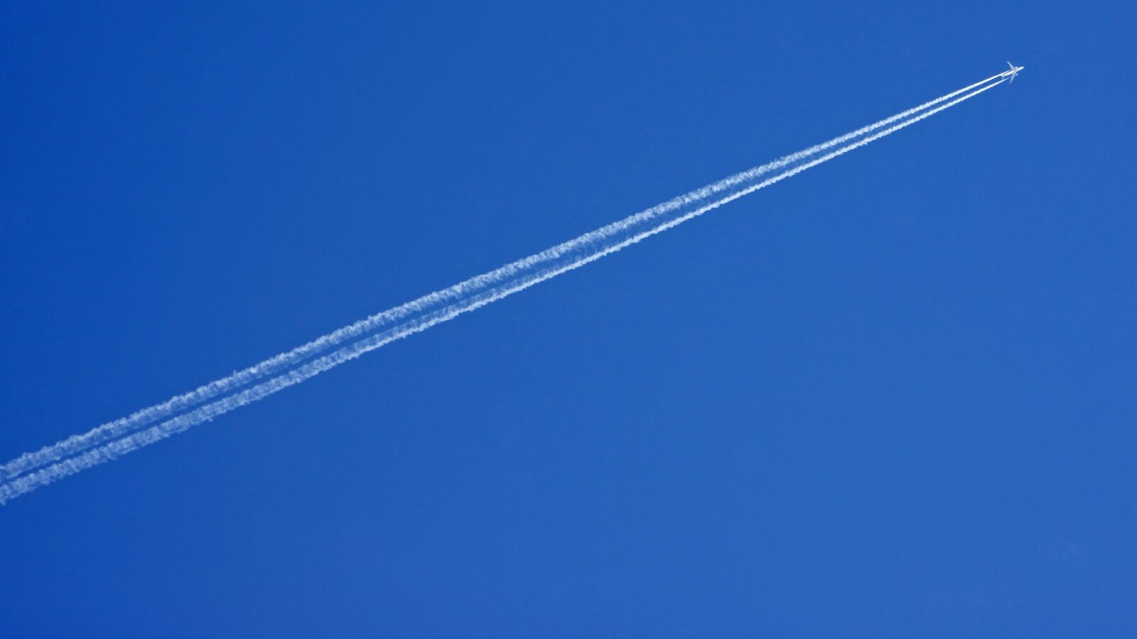 ｢飛行機雲は"飛行機の通った跡"を示していない｣なぜ人は知ってるつもりで答えるのか 疑問がわかないから探求もしない