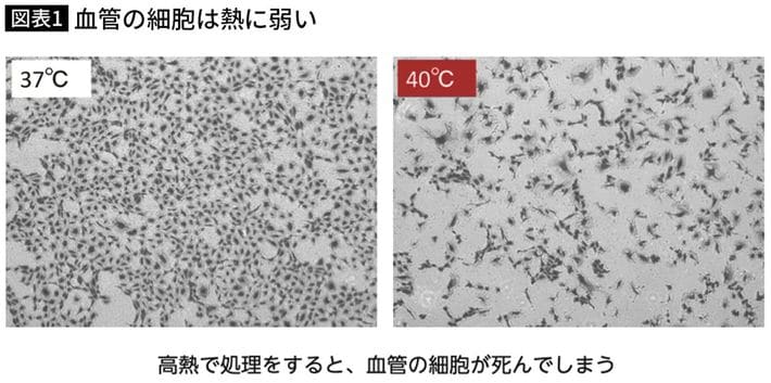 出典＝『<a href="https://www.amazon.co.jp/exec/obidos/ASIN/4833426099/presidentjp-22" target="_blank">血管細胞を強くすれば熱中症は予防できる 熱中症やヒートショックに強い身体に変える3つの成分</a>』（プレジデント社）