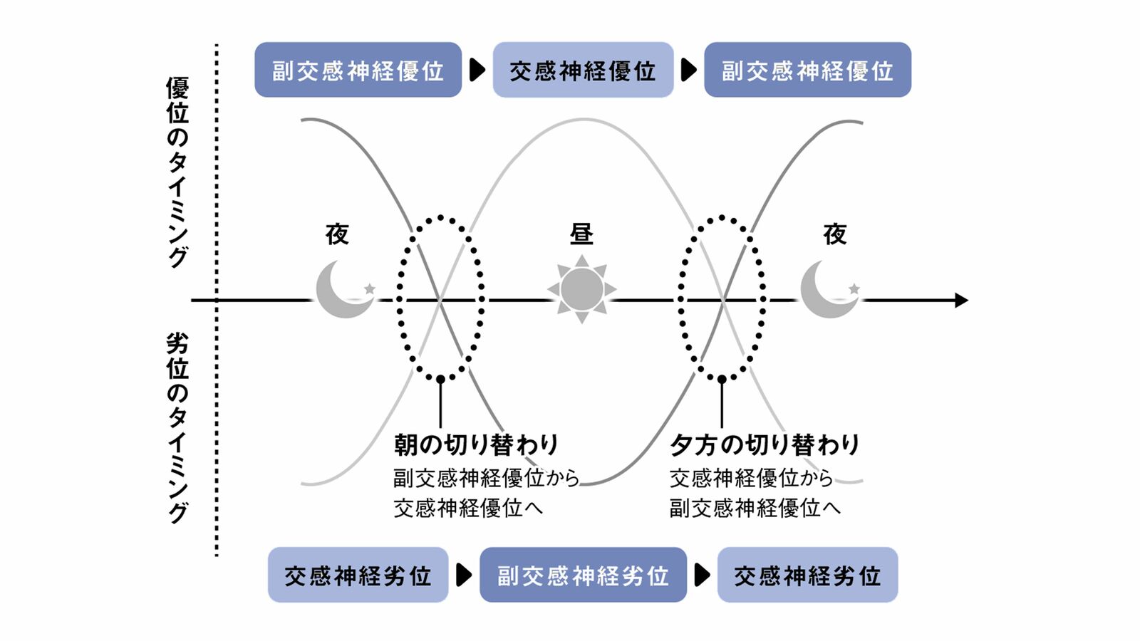 心身をメンテナンスする成長ホルモンをたっぷり分泌…｢サウナ後は寝つきがいい｣の医学的根拠 睡眠の質は入眠後3時間の深い眠りで決まる