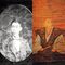 ｢豊臣兄弟!｣で前田利家に首を放り投げられた…息子は秀吉に従い13万石の大名になるも嘘がばれ減封された家