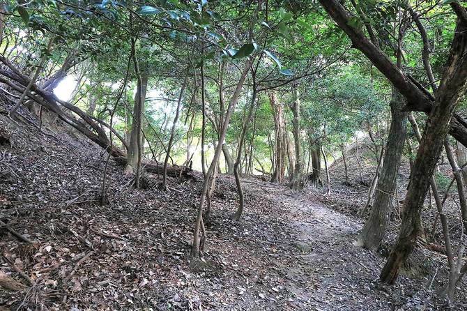 本丸と三の丸に挟まれた大堀切