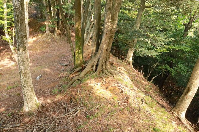 伝二ノ丸より。土塁の外側が崖