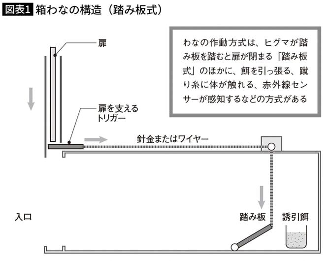 箱わなの構造(踏み板式)