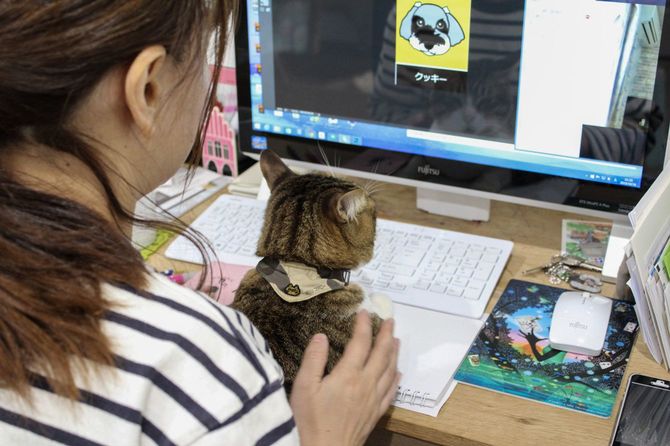 仕事をしていても、コタローはそばから離れようとしなかったという