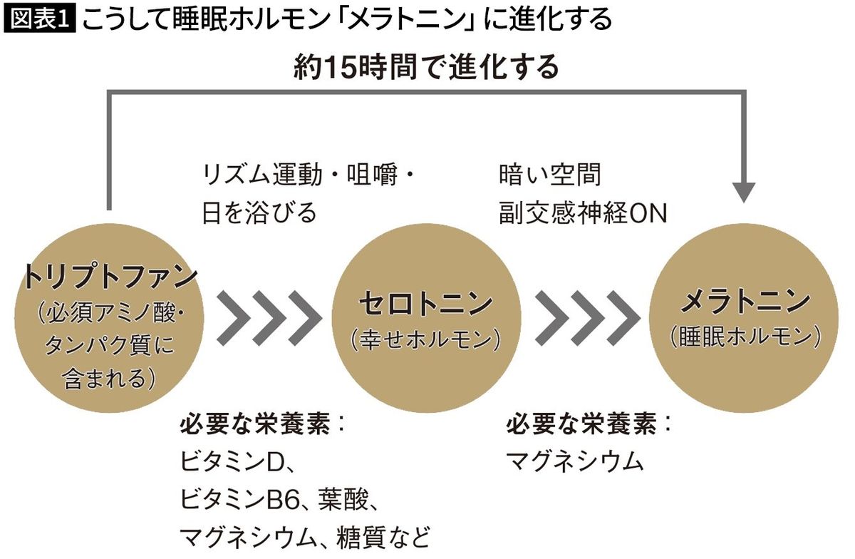 【図表1】こうして睡眠ホルモン「メラトニン」に進化する