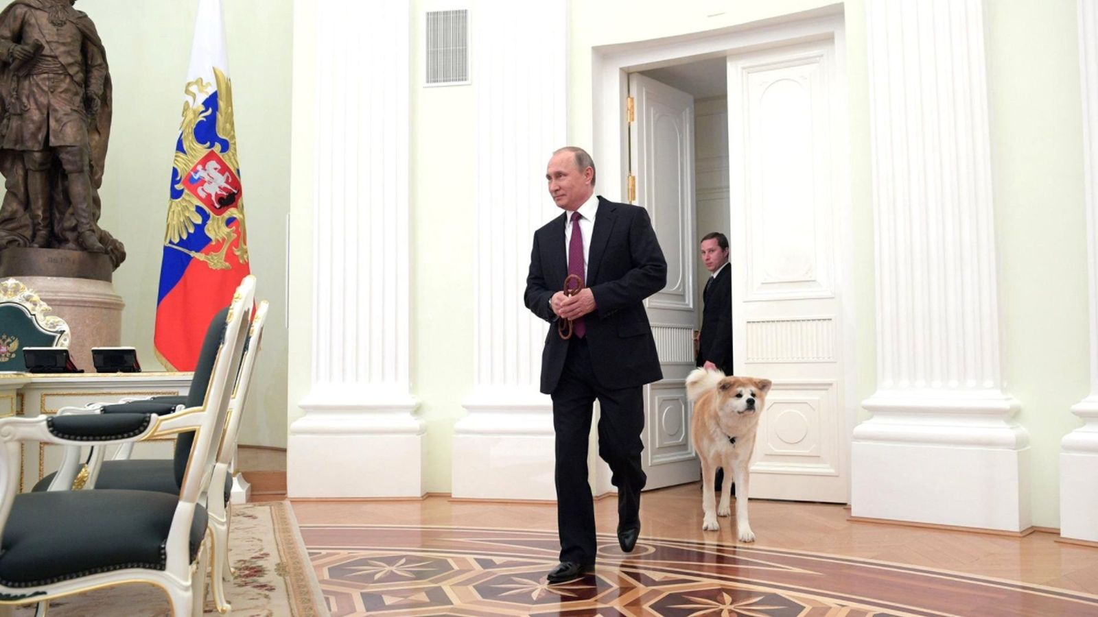 ｢きっかけはプーチン大統領｣ペット大国ロシアで秋田犬の飼い主がどんどん増えている 愛犬家の心を掴むある"特徴"