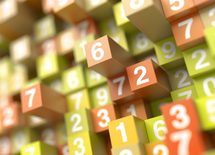 経済オンチは毎日「セロリ」を食べろ