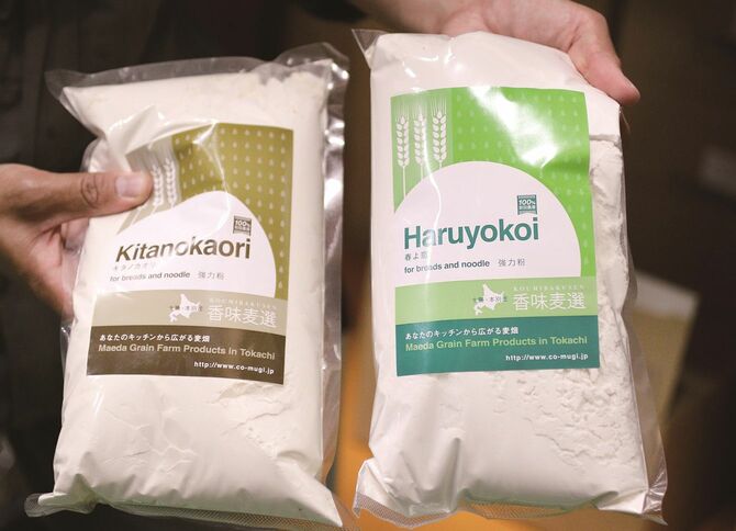 満寿屋が使用している北海道産の小麦粉「キタノカオリ」と「春よ恋（こい）」