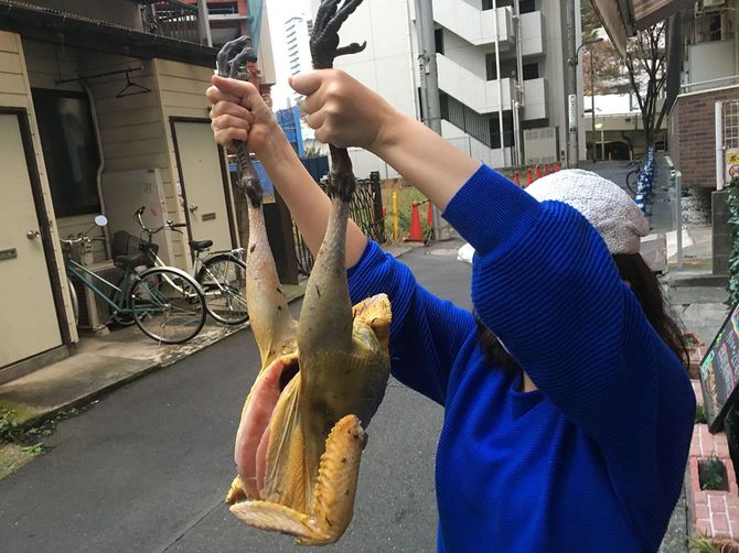 みんなでせっせと羽を抜いて丸裸になったクジャク。マスクを装着していたこともあり、まだ匂いに気づいていない筆者。