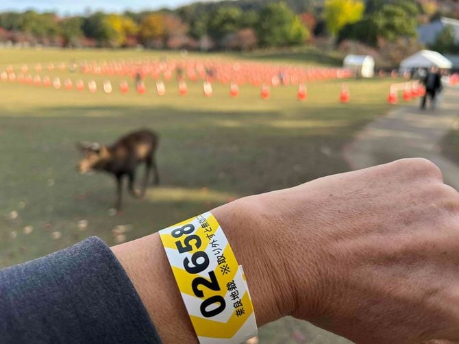 奈良地裁リストバンド