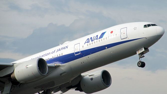 ANA機