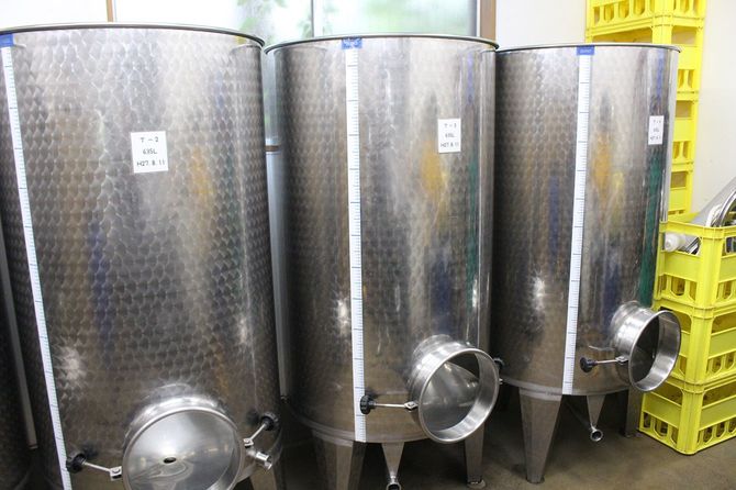ワインを発酵させるタンク