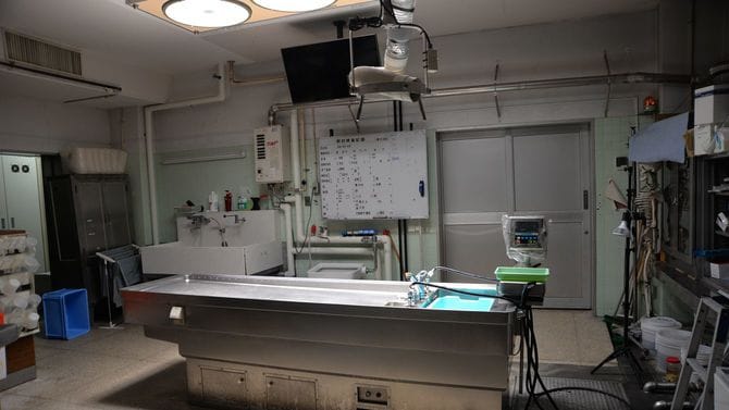 槇野氏が利用していた東大の解剖室。ダウンフローはなく、解剖切開でエアロゾルが発生すると執刀者の顔に飛んきた。