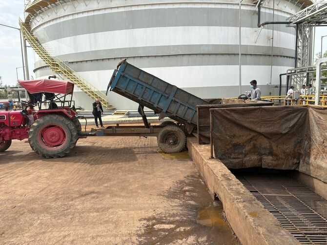 集められる牛糞