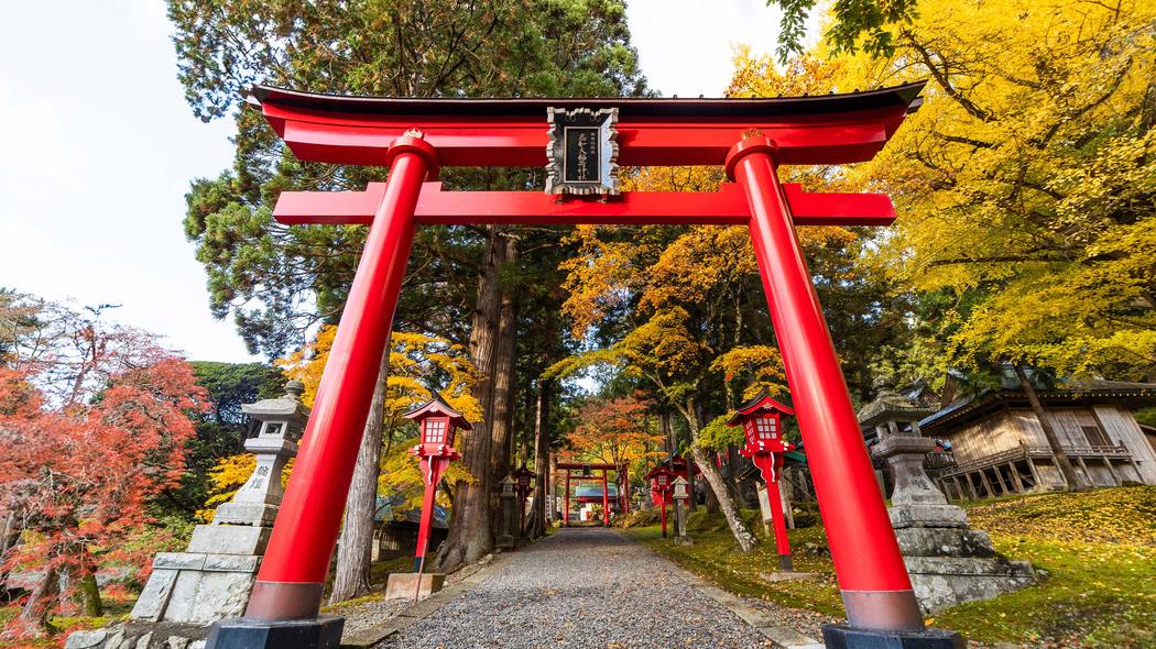 鳥居の前で｢深いおじぎ｣は必要ない…ご利益の専門家｢神社参拝の"意外と知らないマナー"｣