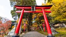 鳥居の前で｢深いおじぎ｣は必要ない…ご利益の専門家｢神社参拝の"意外と知らないマナー"｣