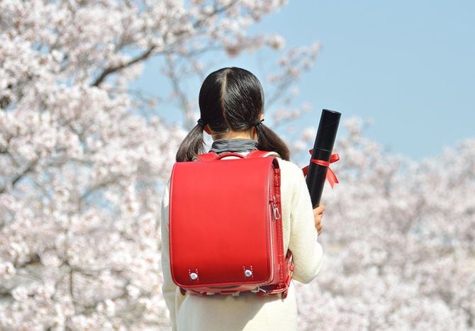 スクール小学生 （桜、卒業） 